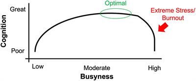 Busyness, mental engagement, and stress: Relationships to neurocognitive aging and behavior